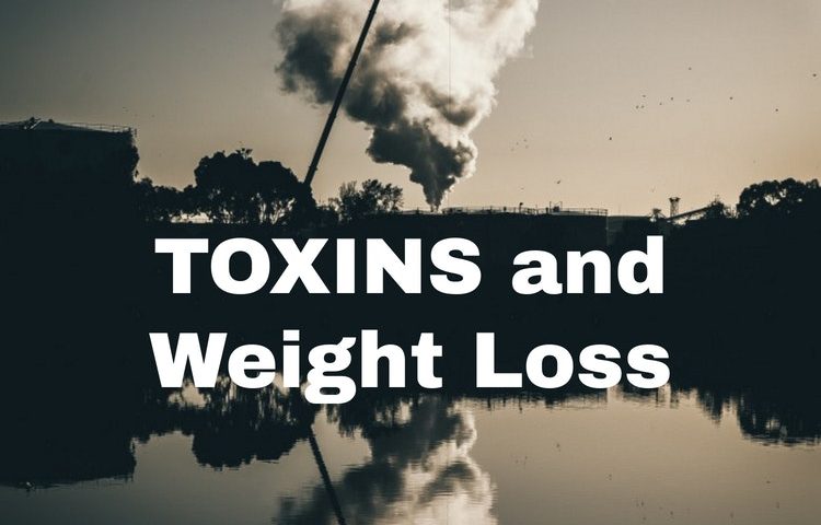 Exposure to environmental toxins affects weight loss.  In modern life, our body is exposed to a barrage of substances that are foreign to us which I will label as toxins to keep it simple