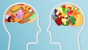 gut bacteria and your brain