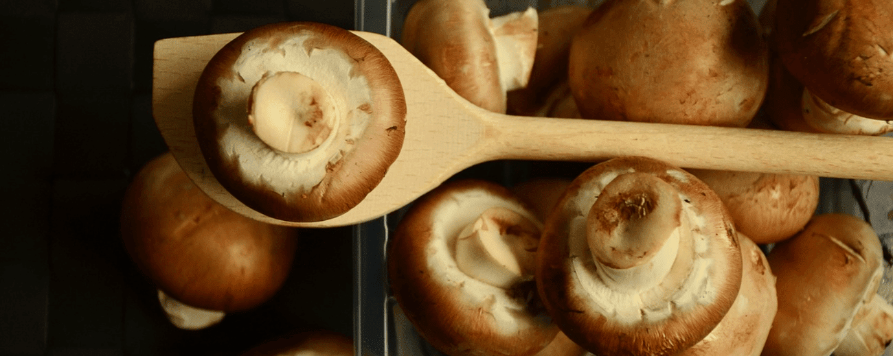 Cauliflower Mushroom Stuffing