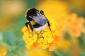 Special Days In June 9