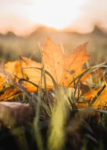 september newsletter 1
