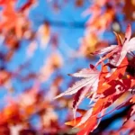 Rockin' October With Self-Care