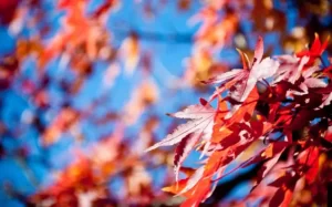 Rockin' October With Self-Care