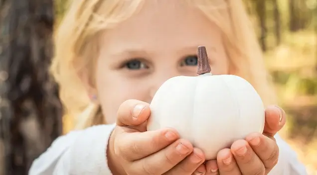 Sparkling November News