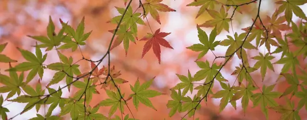 Times They Are A Changin'