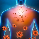 Immune System Disorder