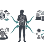 Illustration of environmental and stress factors affecting the immune system