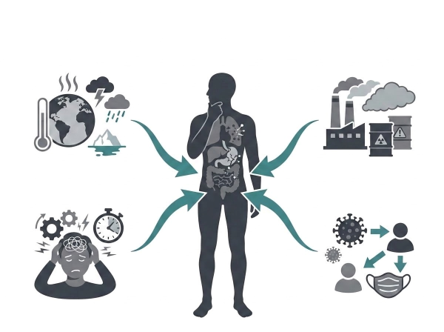 Illustration of environmental and stress factors affecting the immune system